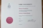buy fake York University degree