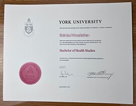 buy fake York University degree