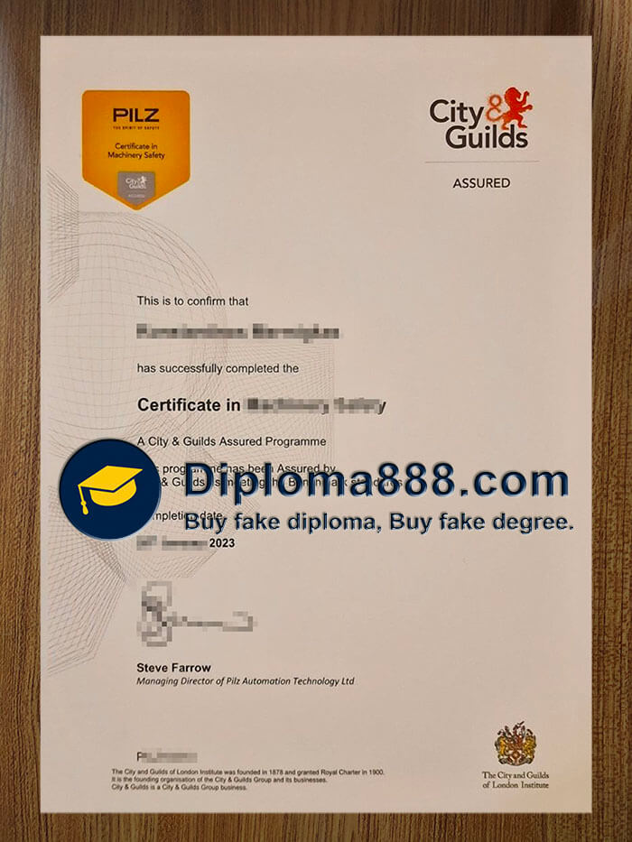 buy fake City Guilds PILZ Machinery Safety certificate