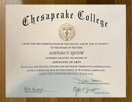 How to Get a Copy of Your Chesapeake College Degree Online Quickly?
