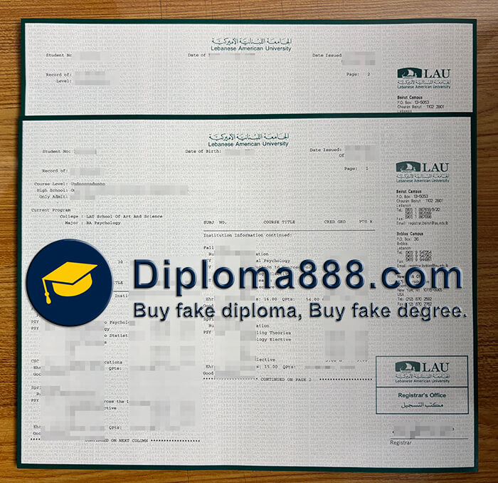 Lebanese American University degree