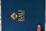 Bahçeşehir University degree