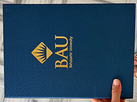 Bahçeşehir University degree