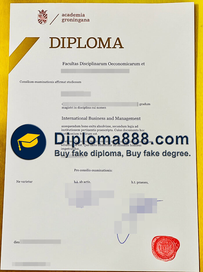 University of Groningen degree