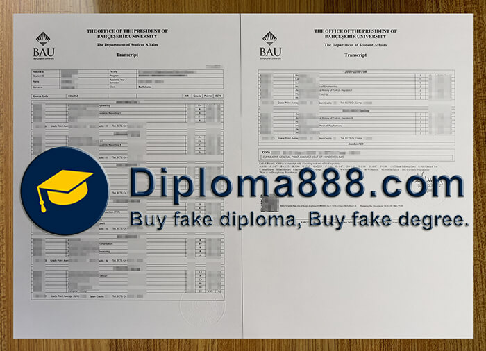 Bahçeşehir University diploma