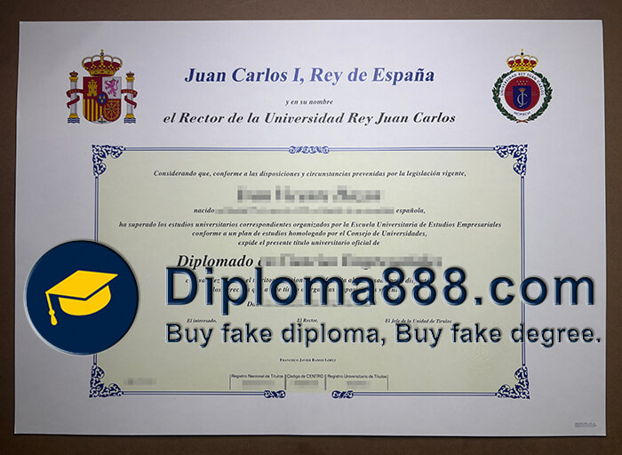Universidad Rey Juan Carlos degree