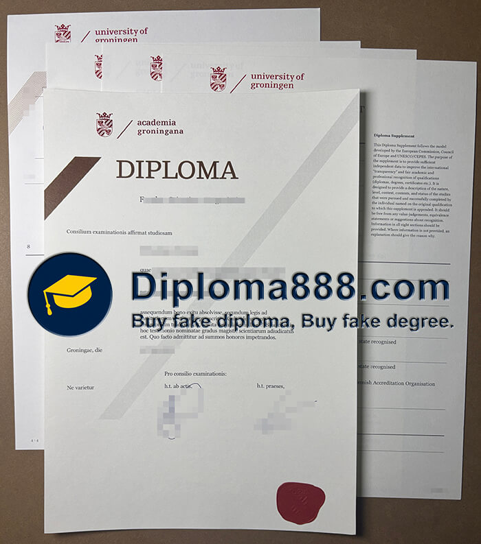 University of Groningen degree