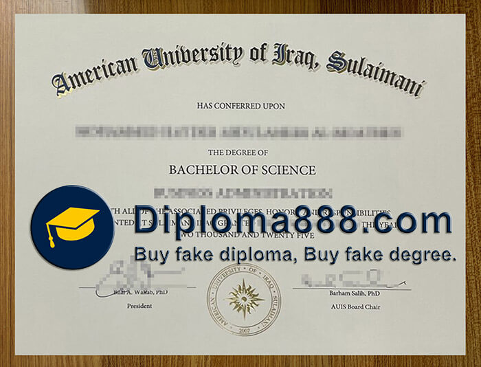American University of Iraq Sulaimani diploma