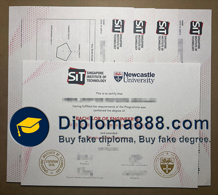 Newcastle University in Singapore diploma