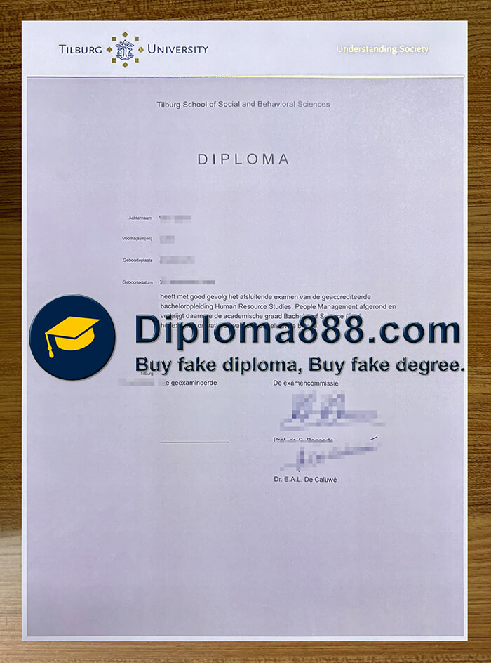 Tilburg University degree