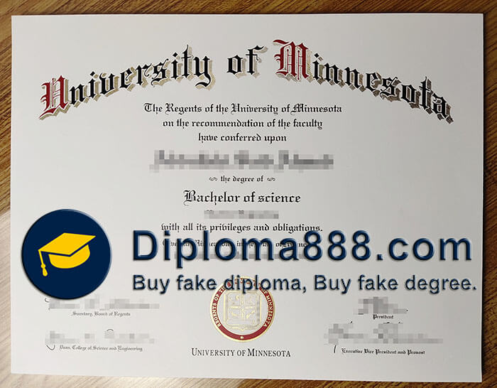 University of Minnesota degree
