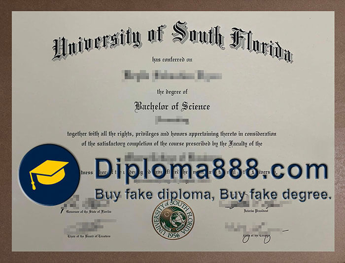University of South Florida diploma