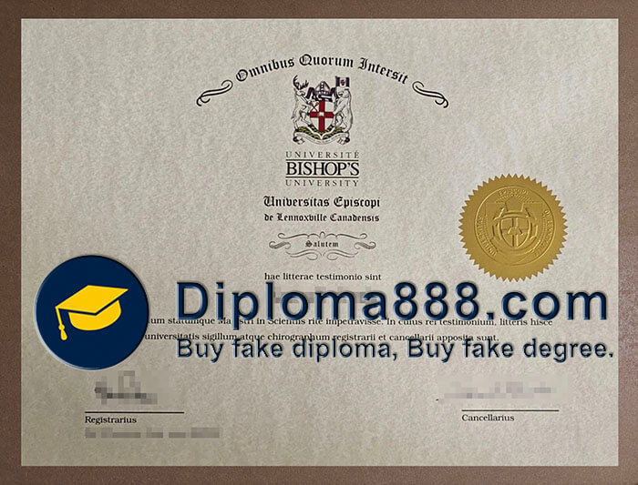 Université Bishop's diploma