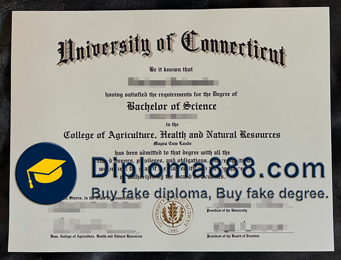 University of Connecticut diploma