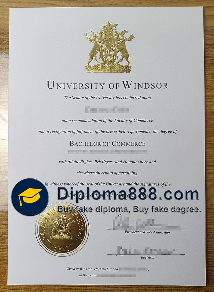 University of Windsor degree