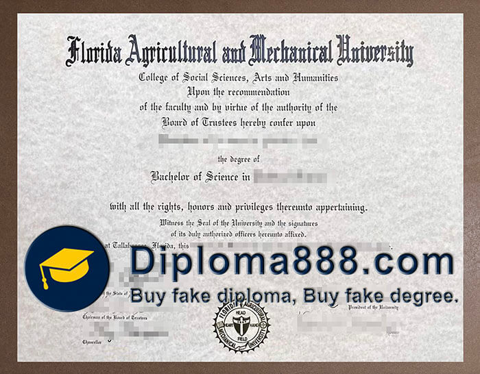 Florida A&M University diploma