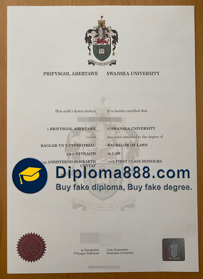 Swansea University degree
