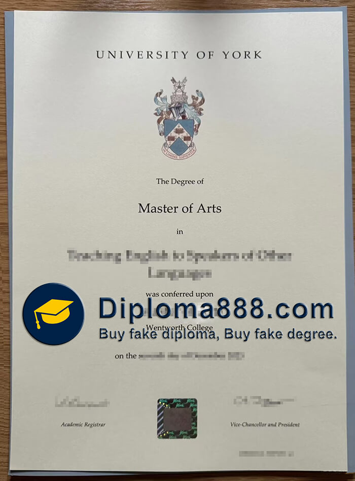 University of York degree