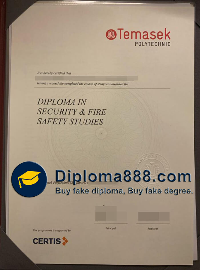 Temasek Polytechnic degree