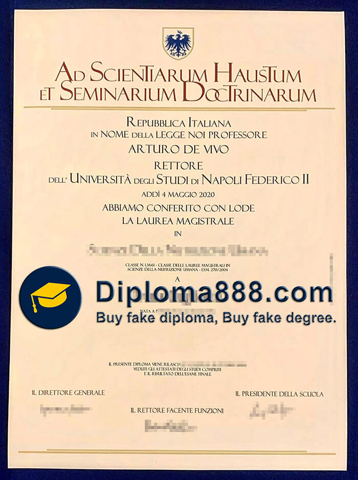 Università degli Studi di Napoli Federico II degree