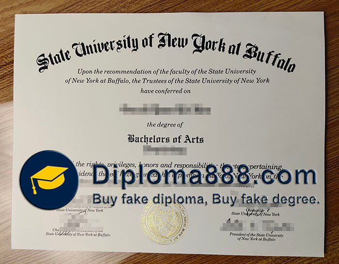University at Buffalo degree
