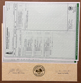 Essential Guide towards making a Michigan State University transcript