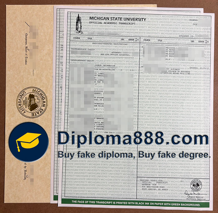 Michigan State University degree