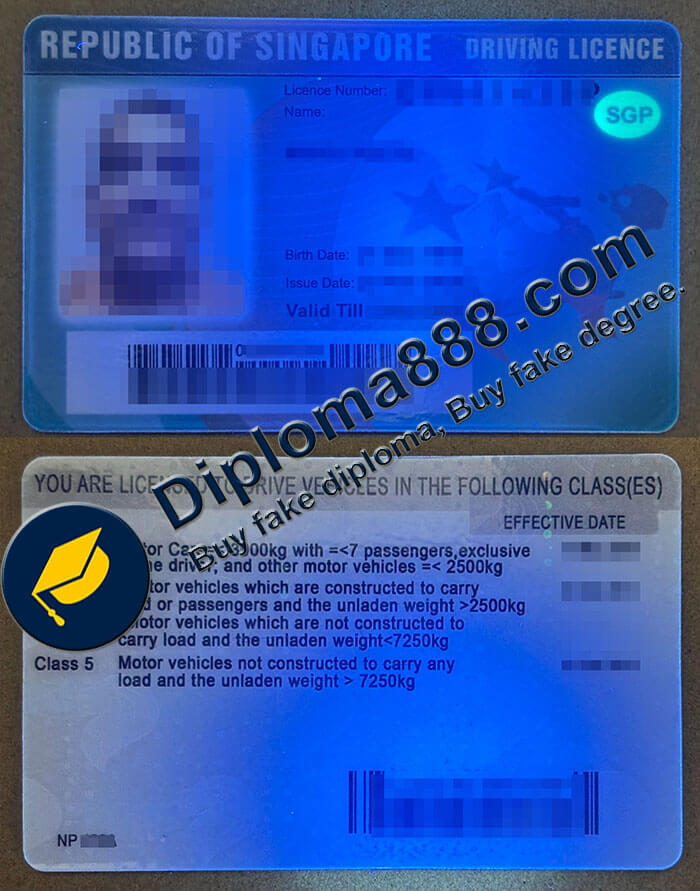 Singapore Driving Licence