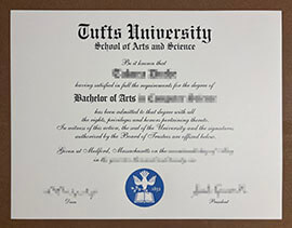 Use a Tufts University degree to fill a career gap (get it online)