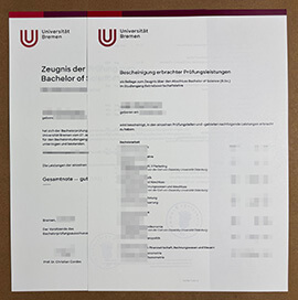 I want to reissue my lost Universität Bremen Zeugnis online.