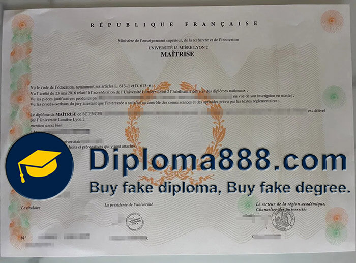 Université Lumière Lyon 2 diploma