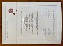 Step by step guide to make a University of Copenhagen degree