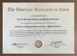 Common ways to get a American University in Cairo diploma.