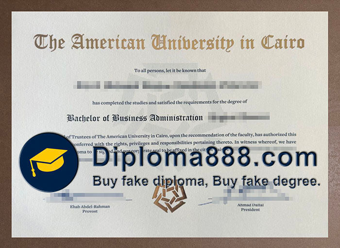 American University in Cairo degree