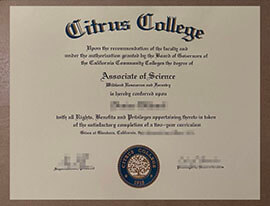 Can I Buy a copy of my Citrus College diploma certificate online?
