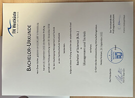How to Get a Copy of Your Fachhochschule Westküste Urkunde