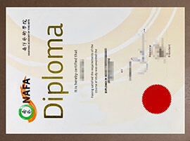 Reliable Sources to Buy a Nanyang Academy of Fine Arts diploma