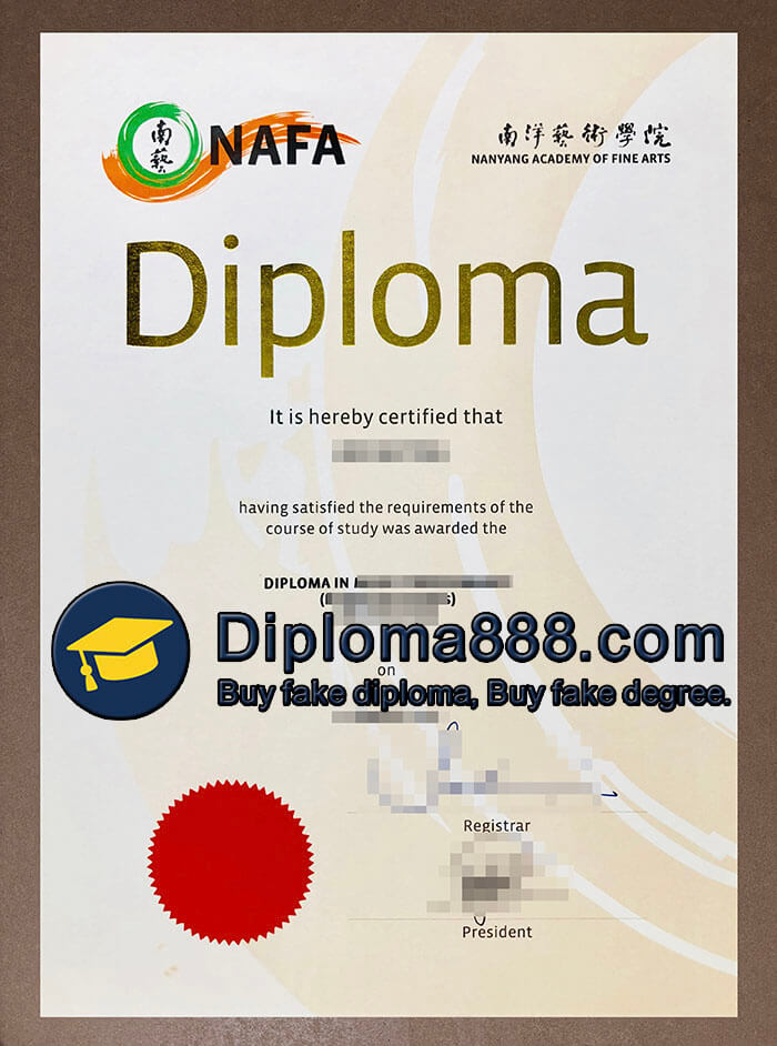 Nanyang Academy of Fine Arts degree