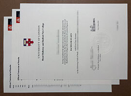 Apply for a Royal Holloway University of London transcript.