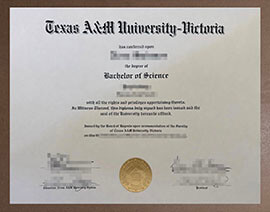 Fast online Texas A&M University Victoria degree duplication platform