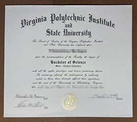 Securely Copy Your College Virginia Tech degree Online Today