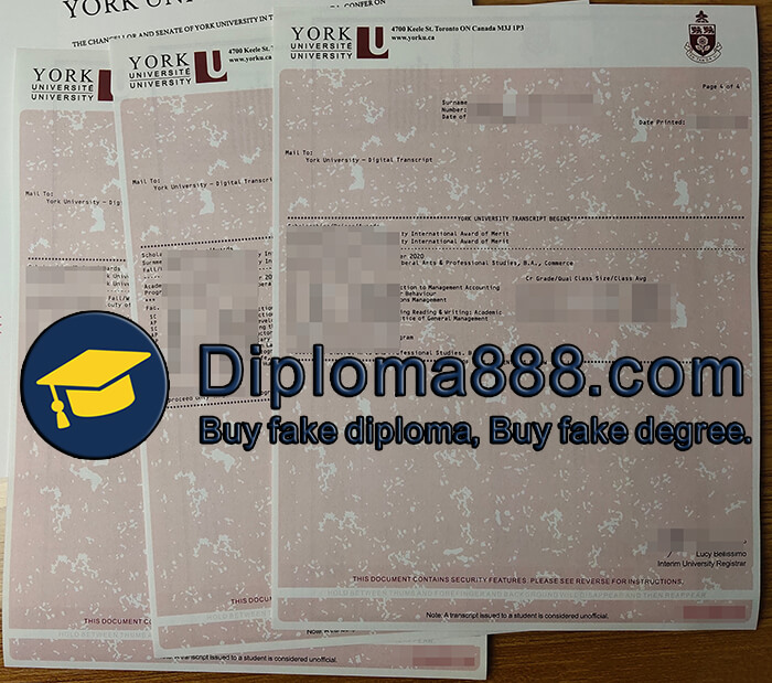 York University degree
