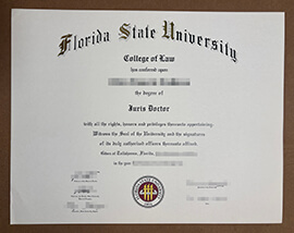 Surprising way to order a Florida State University degree online