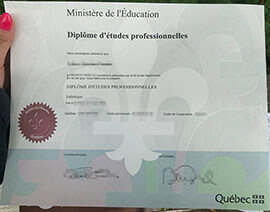 Where to Obtain a Quebec Diplôme d’études professionnelles?
