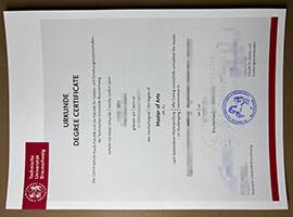 Tips to order a Technische Universität Braunschweig degree.