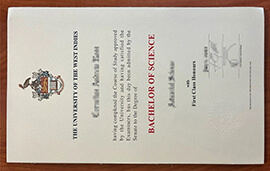 Efficient Online Portal for University of the West Indies diploma Duplicate