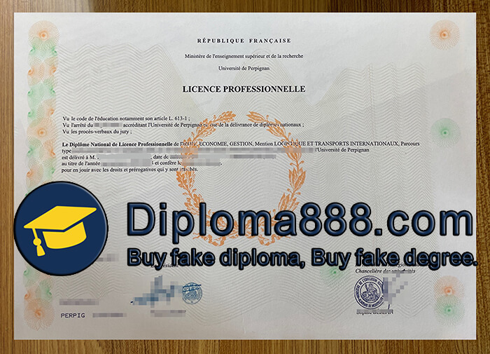 Université de Perpignan diploma