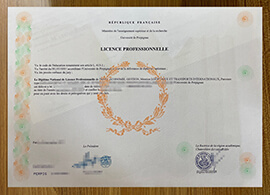 The fastest way to order a Université de Perpignan degree online.
