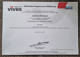 Quickly obtain high-quality copies of your Hogeschool VIVES diploma