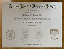 Copy American Board of Orthopaedic Surgery certificate online